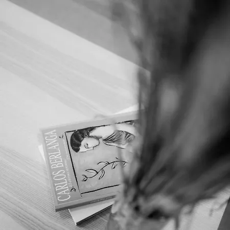 Daire San Bernardo, 19